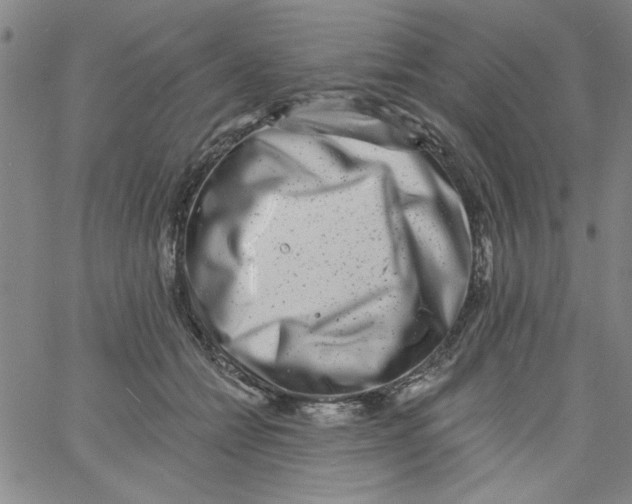 X0000061730558200512231437