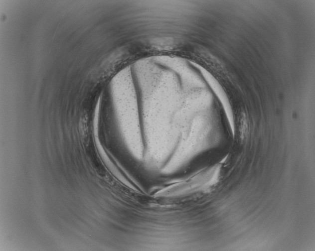 X0000061730559200512231437