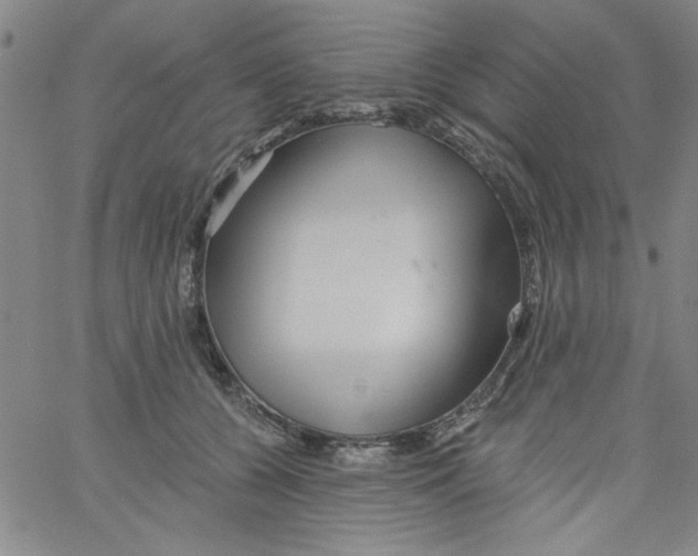 X0000061730560200512231437