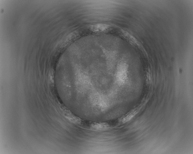 X0000061730561200512231437