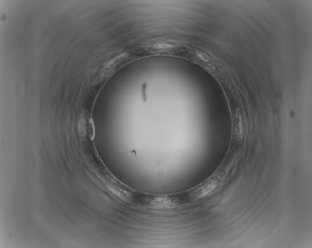 X0000061730562200512231437