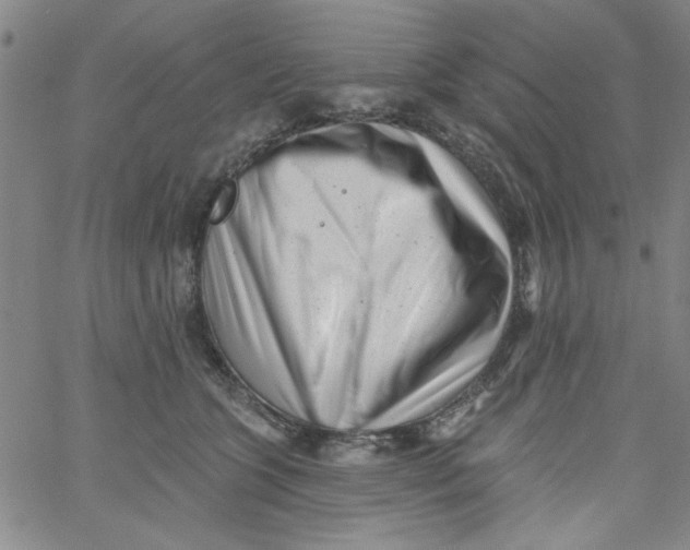 X0000061730563200512231437