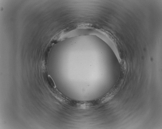 X0000061730564200512231437