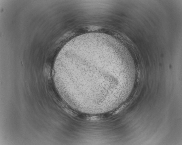 X0000061730565200512231437