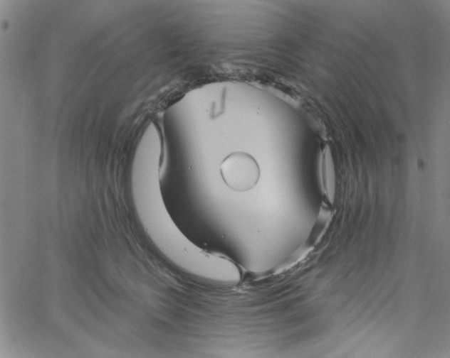 X0000061730566200512231437