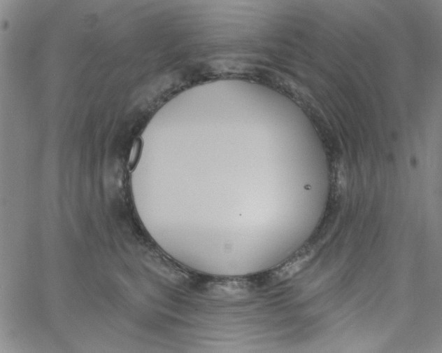 X0000061730567200512231437