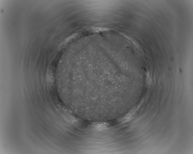 X0000061730569200512231437