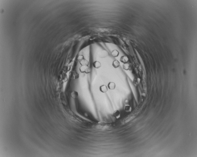 X0000061730570200512231437