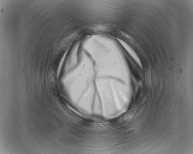 X0000061730571200512231438