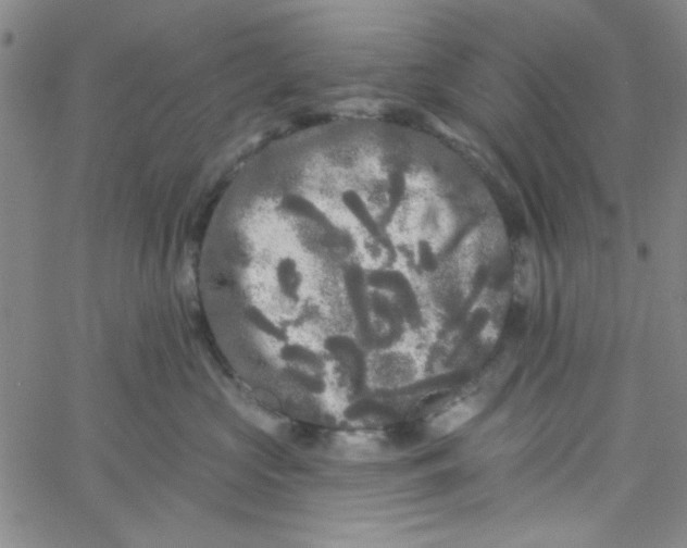 X0000061730573200512231438