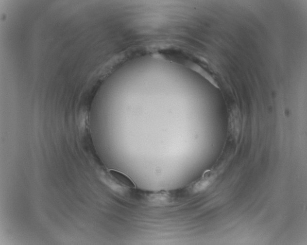 X0000061730574200512231438