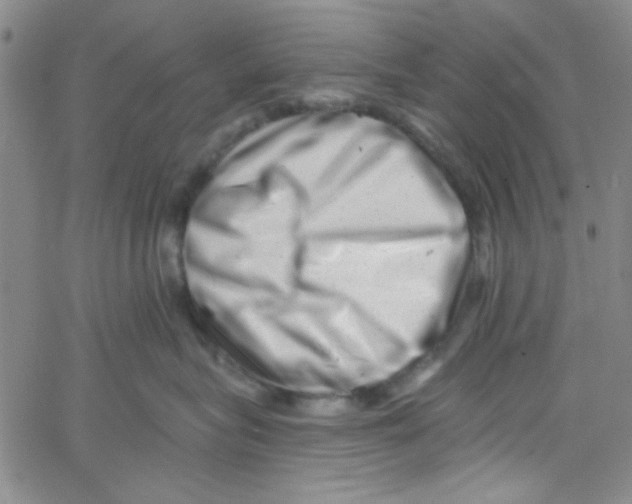 X0000061730575200512231438