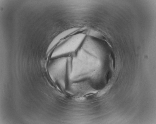 X0000061730576200512231438