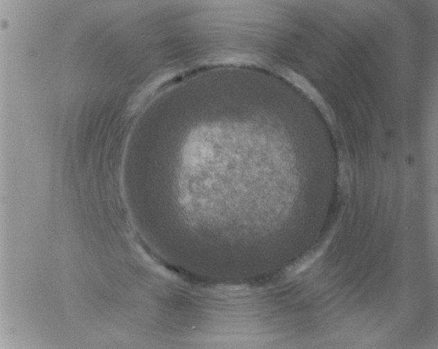 X0000061730577200512231437