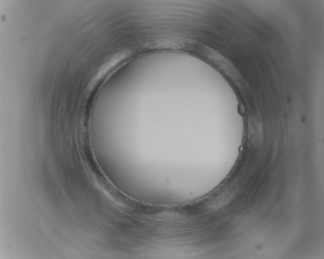 X0000061730578200512231437