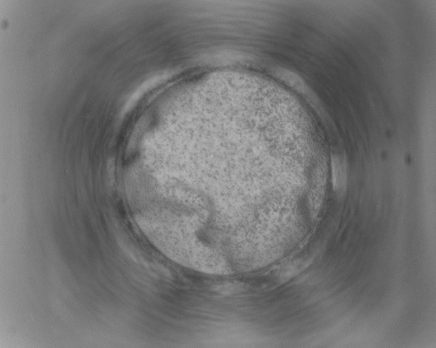 X0000061730579200512231437