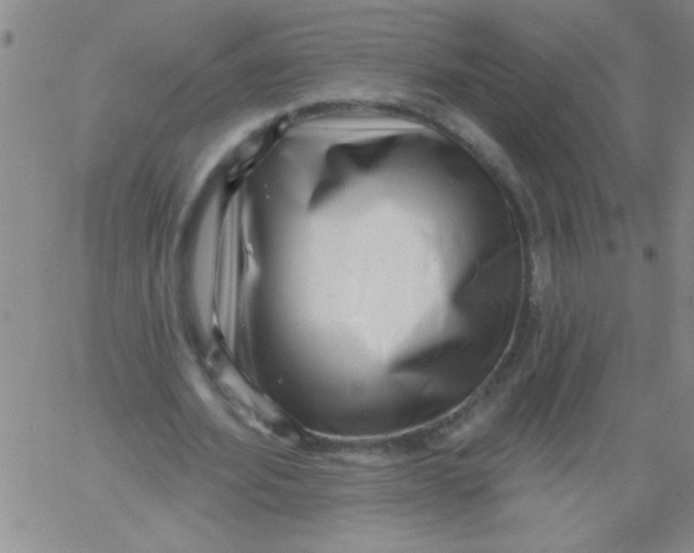 X0000061730580200512231437