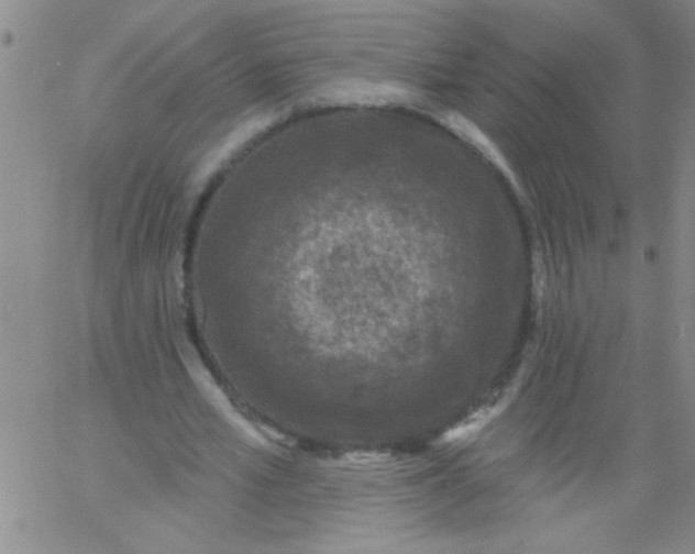 X0000061730581200512231437