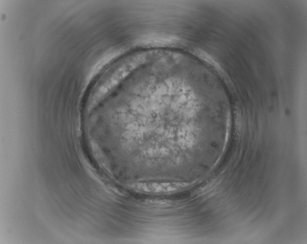 X0000061730582200512231437