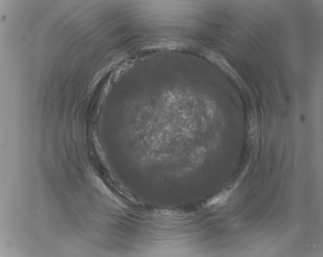 X0000061730585200512231437