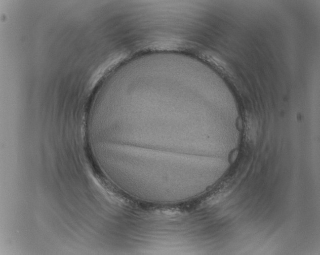 X0000061730586200512231437