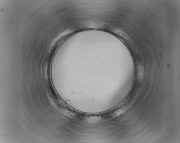 X0000061730587200512231437