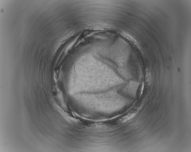 X0000061730589200512231437