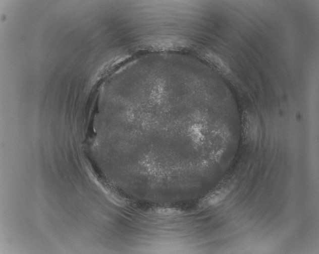 X0000061730590200512231437