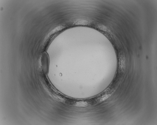 X0000061730591200512231437