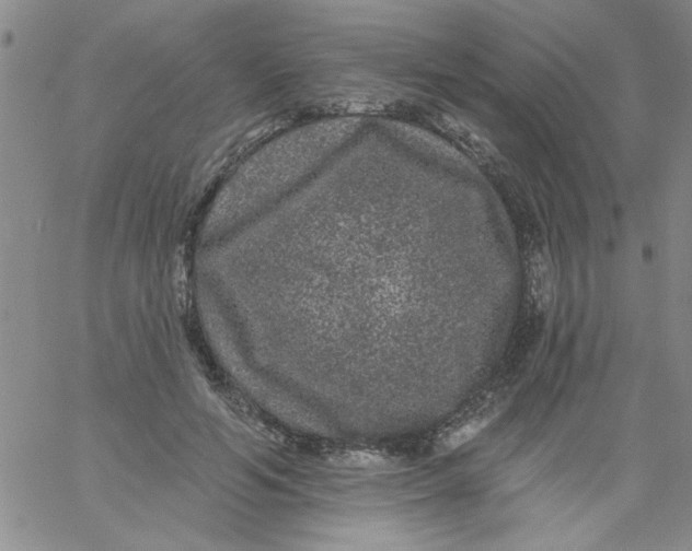 X0000061730594200512231437