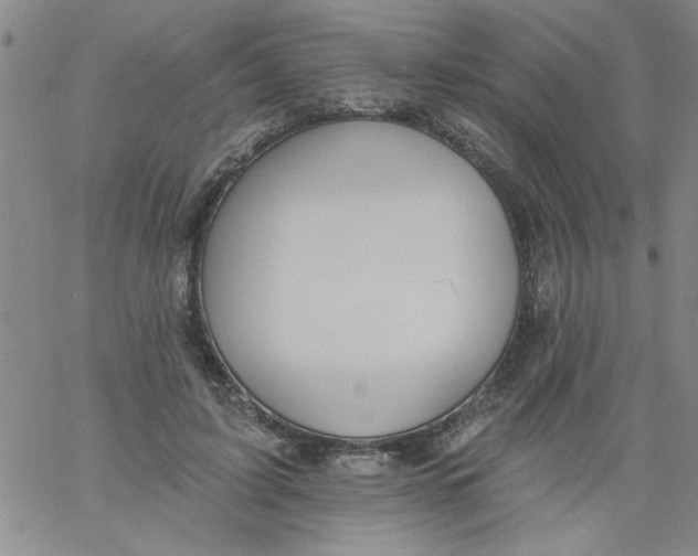 X0000061730595200512231437