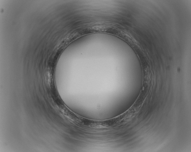 X0000061730597200512231436