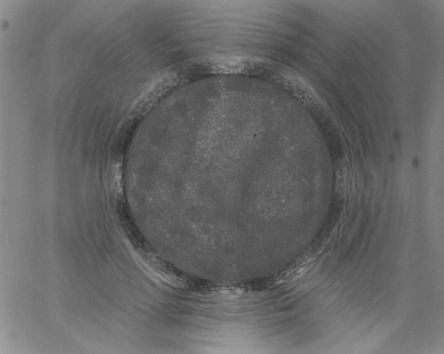 X0000061730598200512231436