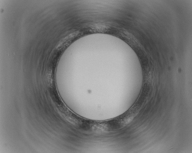 X0000061730599200512231436