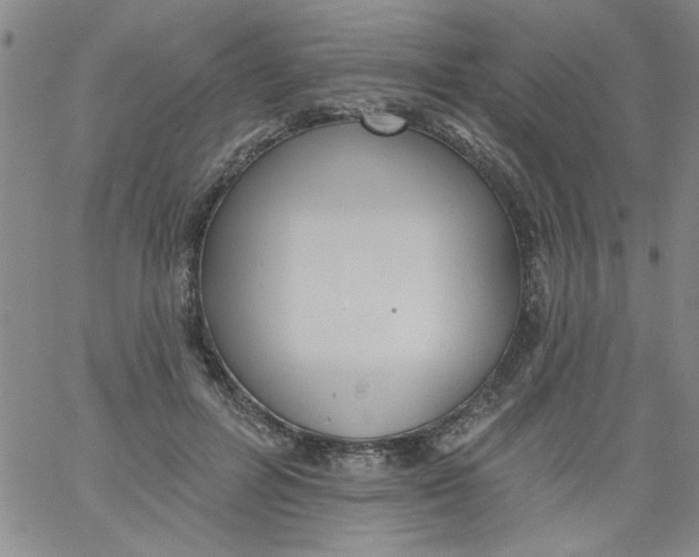 X0000061730600200512231436