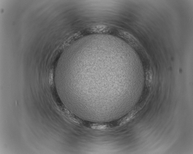 X0000061730602200512231436