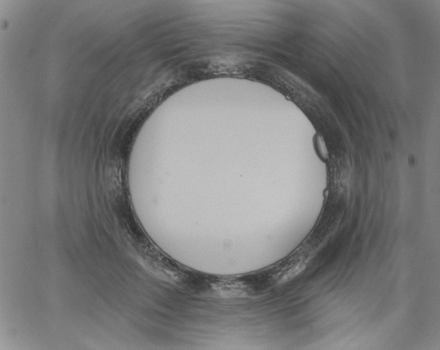 X0000061730603200512231436