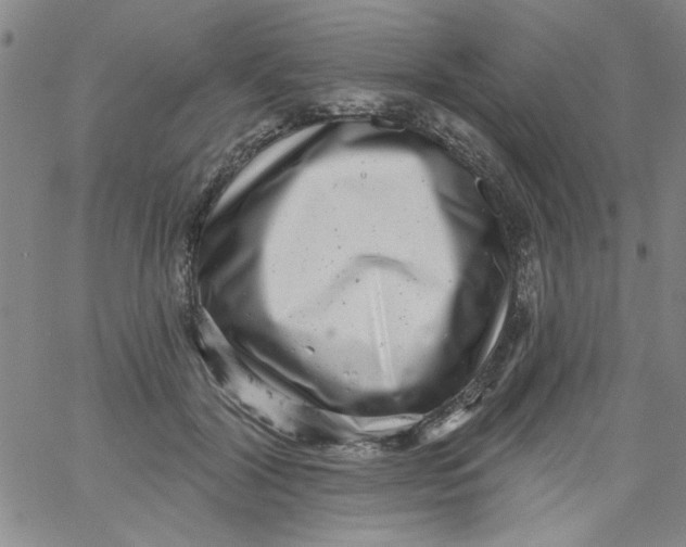 X0000061730604200512231436