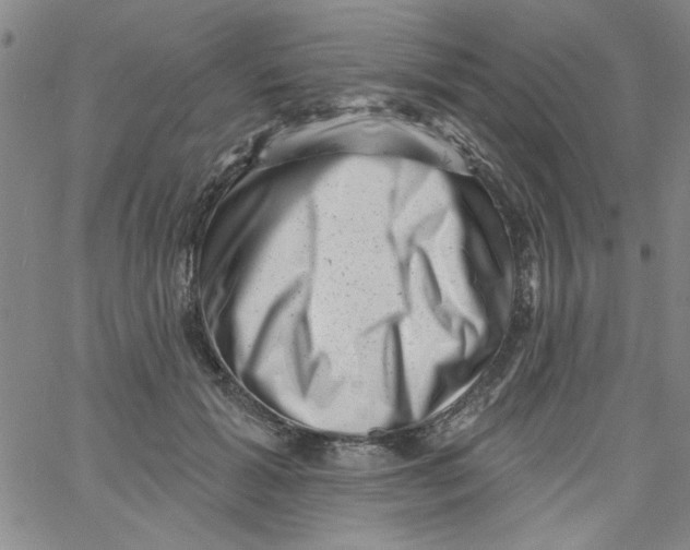 X0000061730605200512231436