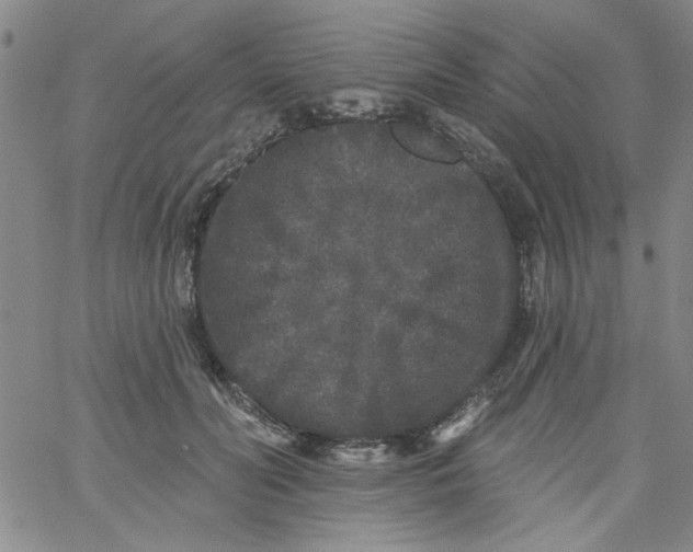 X0000061730606200512231436