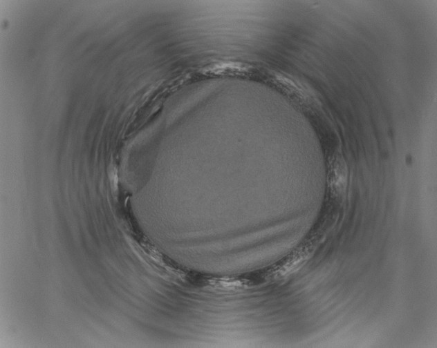 X0000061730607200512231436