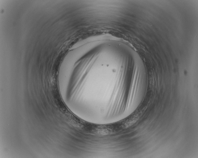 X0000061730608200512231436