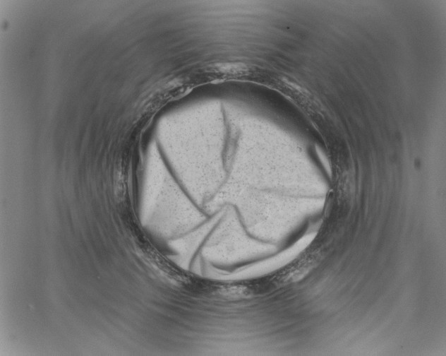 X0000061730609200512231436