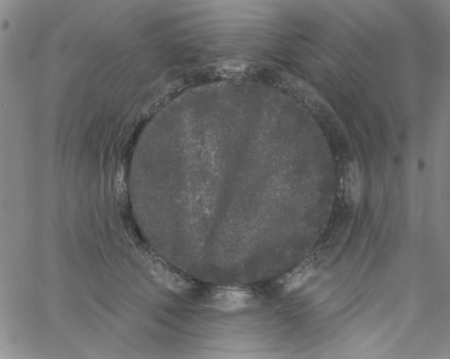 X0000061730610200512231436