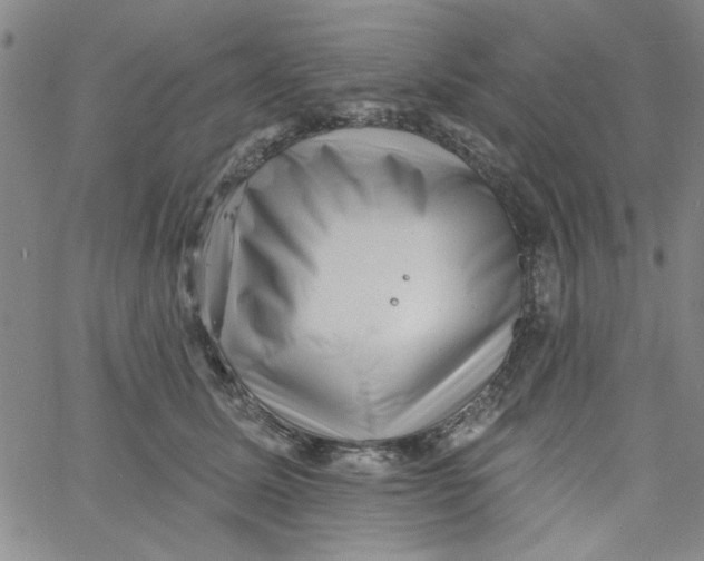 X0000061730611200512231436