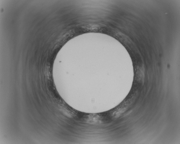 X0000061730612200512231436