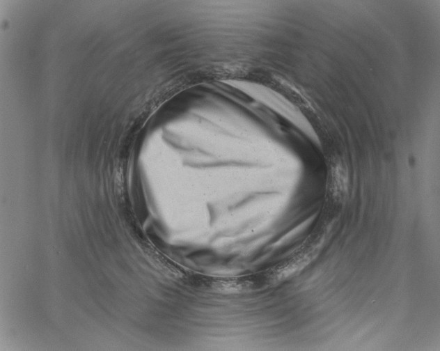 X0000061730613200512231436