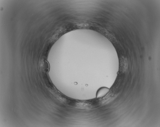 X0000061730614200512231436