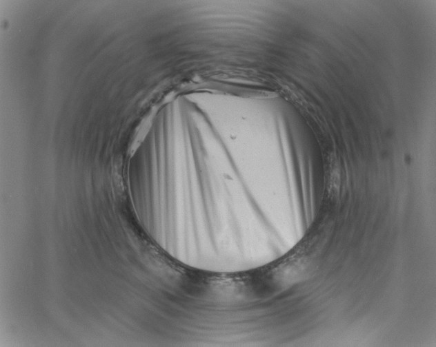 X0000061730616200512231436