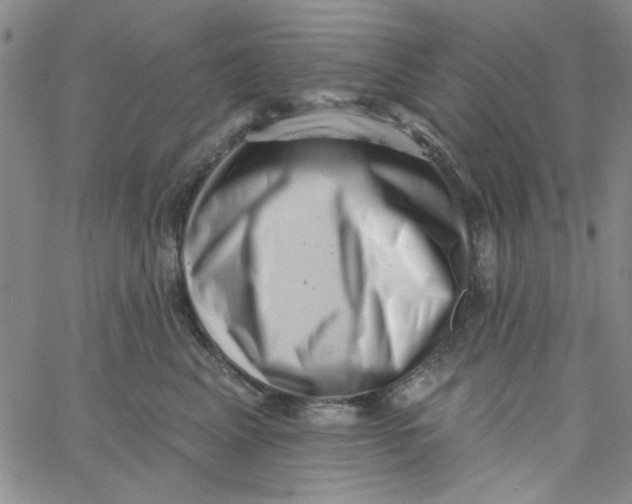 X0000061730617200512231436